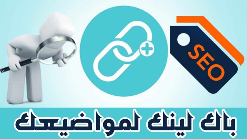 باك لينك باك لينك