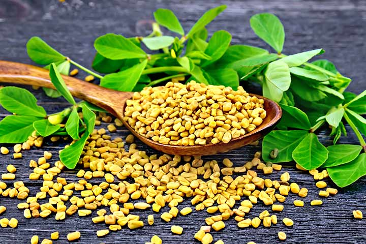 الحلبة لتكبير الثدي الحلبة لتكبير الثدي