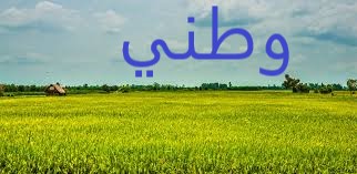 عبارات عن الوطن عبارات عن الوطن