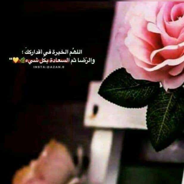 اللهم الخيرة في أقدراك والرضا ثم السعادة بكل شيء اللهم الخيرة في أقدراك والرضا ثم السعادة بكل شيء