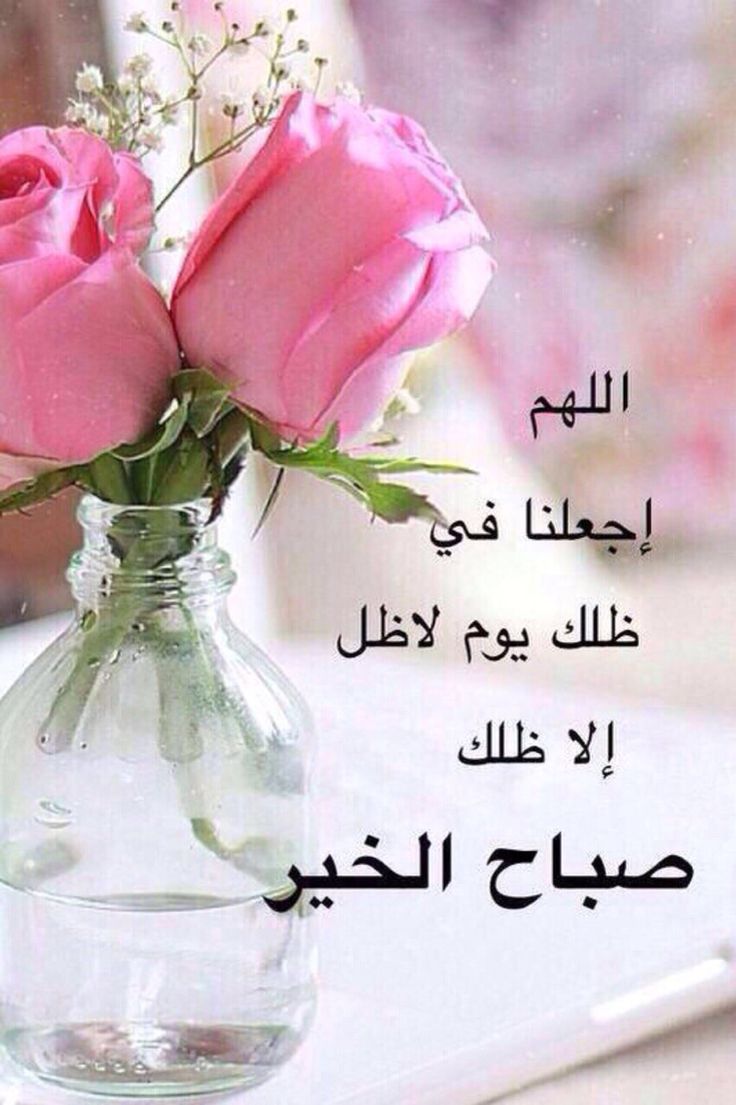 اللهم اجعلنا في ظلك يوم لا ظل الا ظلك صباح الخير اللهم اجعلنا في ظلك يوم لا ظل الا ظلك صباح الخير