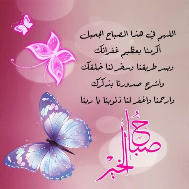 اللهم في هذا الصباح الجميل أكرمنا بعظيم غفرانك اللهم في هذا الصباح الجميل أكرمنا بعظيم غفرانك