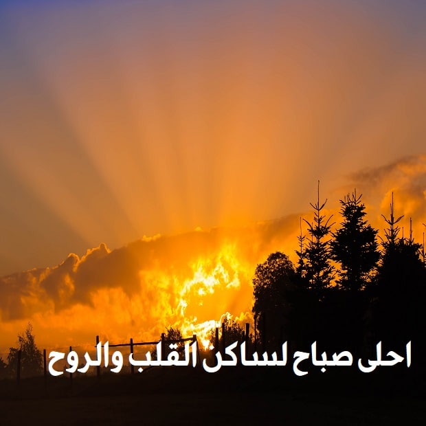 احلى صباح لساكن القلب والروح احلى صباح لساكن القلب والروح
