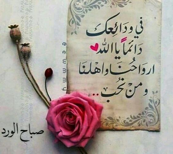 في ودائعك دائما يا الله أرواحنا وأهلنا ومن نحب صباح الخير في ودائعك دائما يا الله أرواحنا وأهلنا ومن نحب صباح الخير