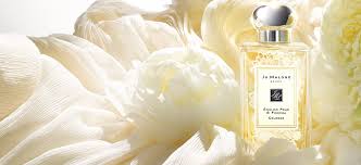 صناعة العطور صناعة العطور