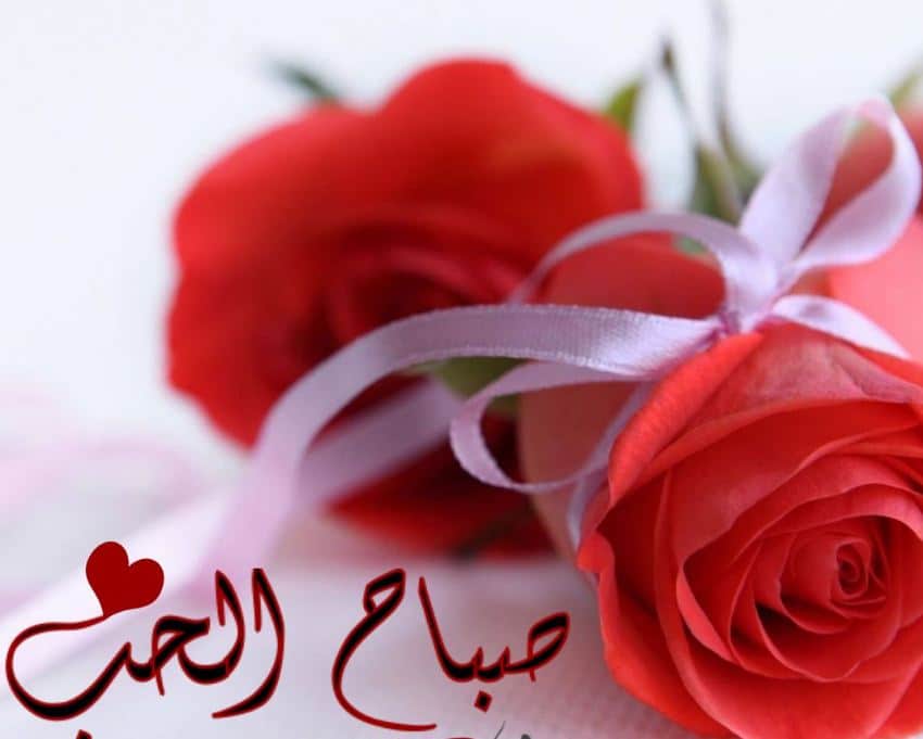 صباح الحب صباح الحب