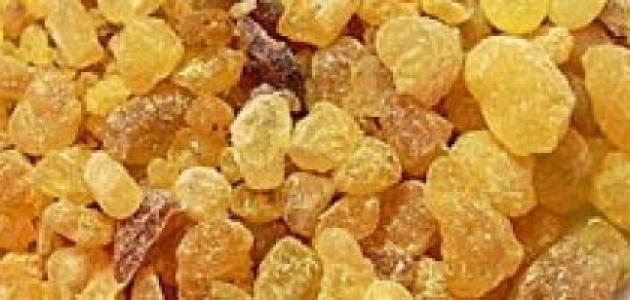فوائد وأضرار اللبان الذكر فوائد وأضرار اللبان الذكر