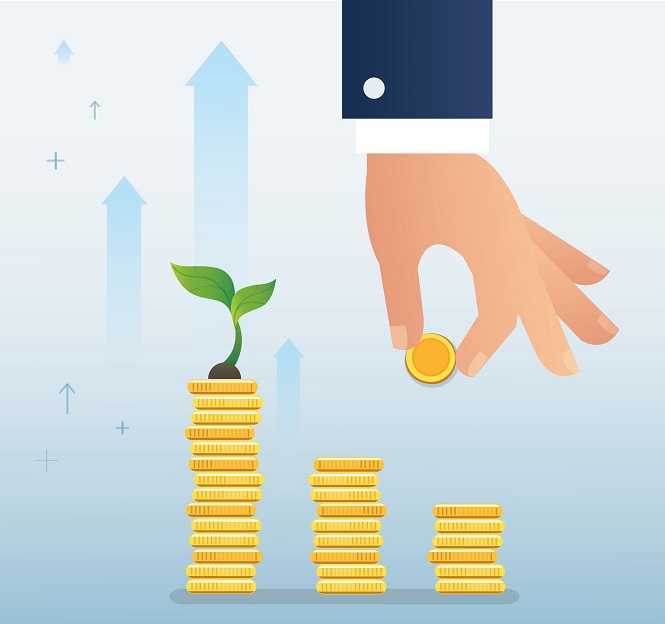 أنواع استثمارات نمو رأس المال