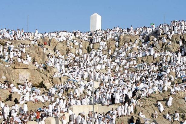 حملات الحج المجانية بن لادن متى تبدأ وما المطلوب