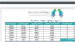 رواتب المعلمين بعد الخصخصة