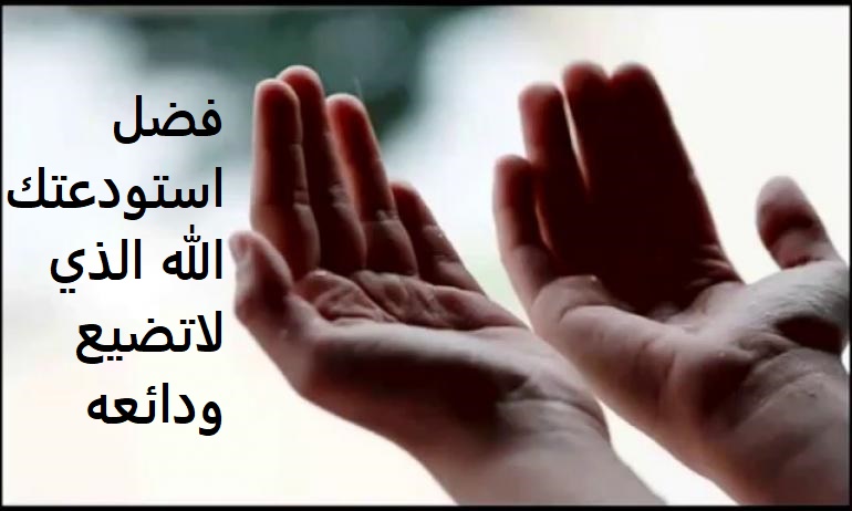 استودعتك الله الذي لاتضيع ودائعه فضل استودعتك الله الذي لاتضيع ودائعه
