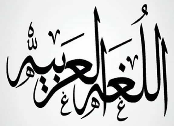 اللغة العربية الفصحى اللغة العربية الفصحى